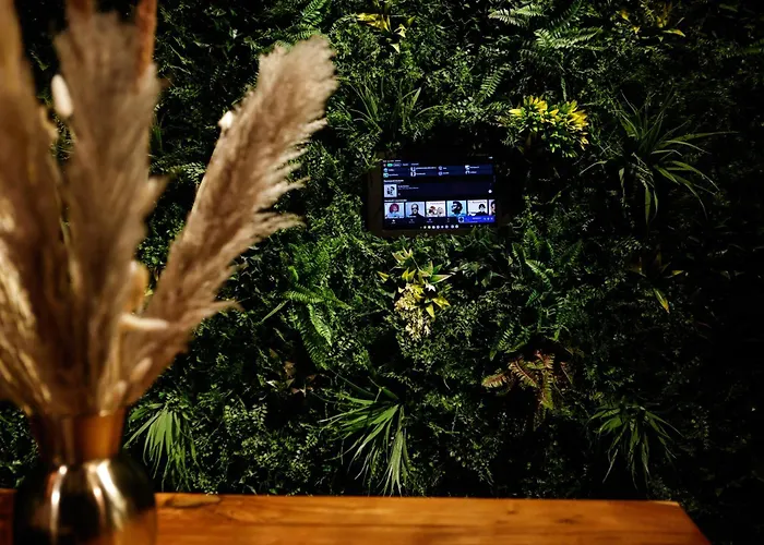 La Jungle De Toulon, Voyage Sensoriel & Apartman Toulon