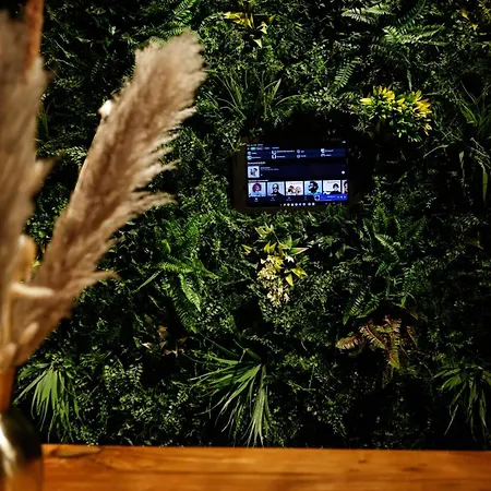 La Jungle De Toulon, Voyage Sensoriel & Apartament Tulon